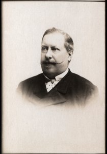 Retrato de Luis I de Portugal (1838-1889), Rey de Portugal